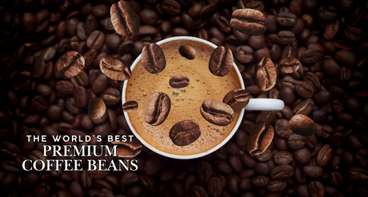 The Worlds Best Premium Coffee Beans | Tonino Lamborghini