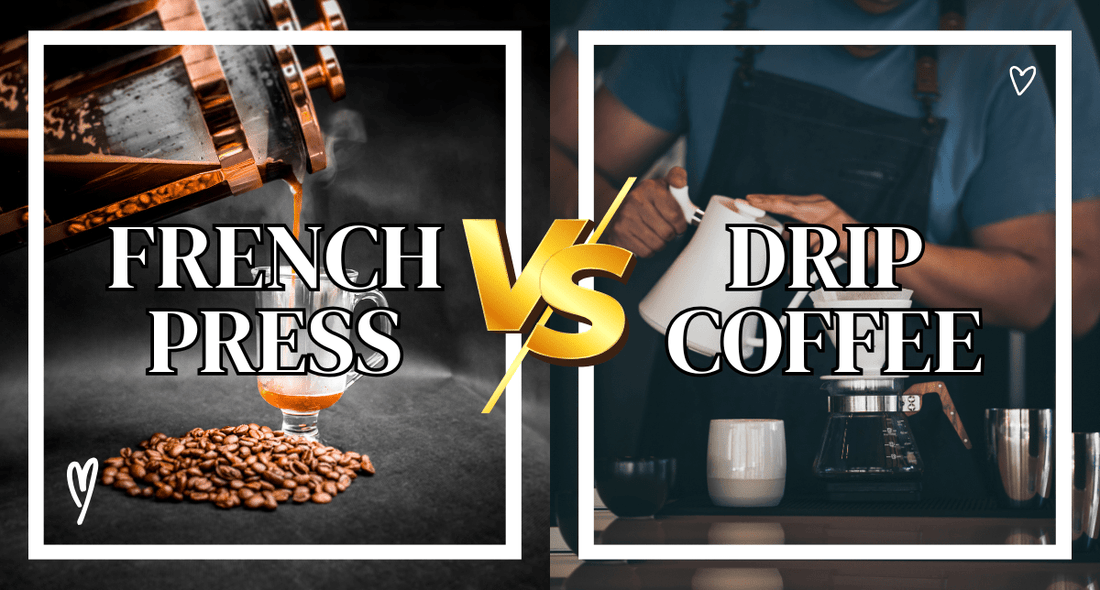 Drip Coffee vs French Press: Which Brew Reigns Supreme? - Tonino Lamborghini