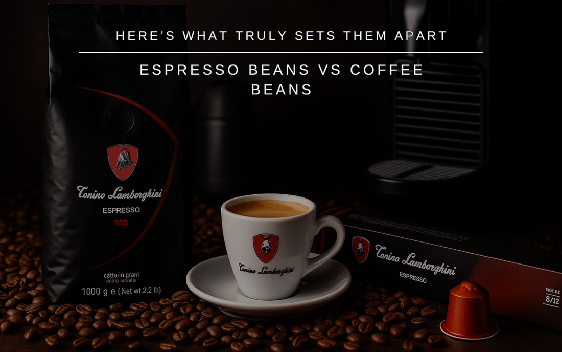 espresso beans vs coffee beans- Tonino Lamborghini