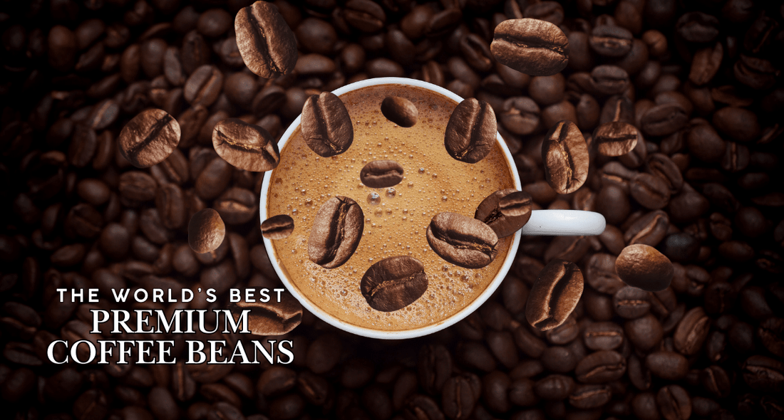 The World's Best Premium Coffee Beans - Tonino Lamborghini
