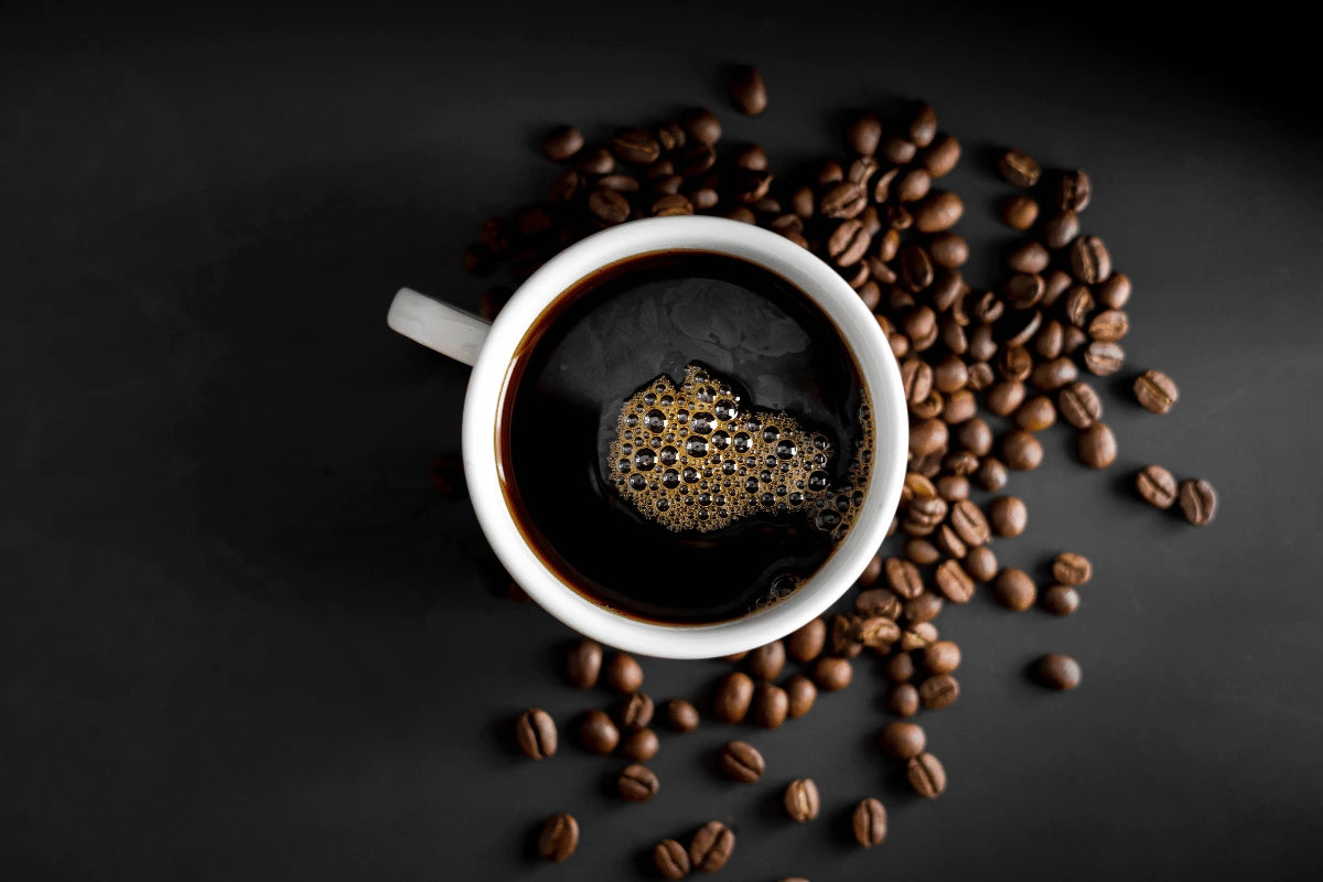 Drip Coffee - Tonino Lamborghini Coffee