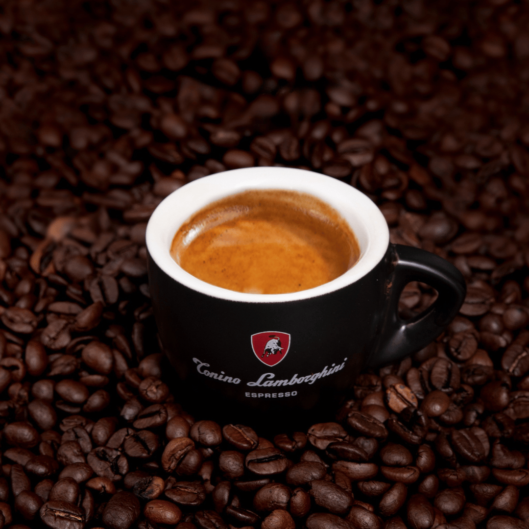 gourmet coffee - Italian Espresso - Tonino Lamborghini