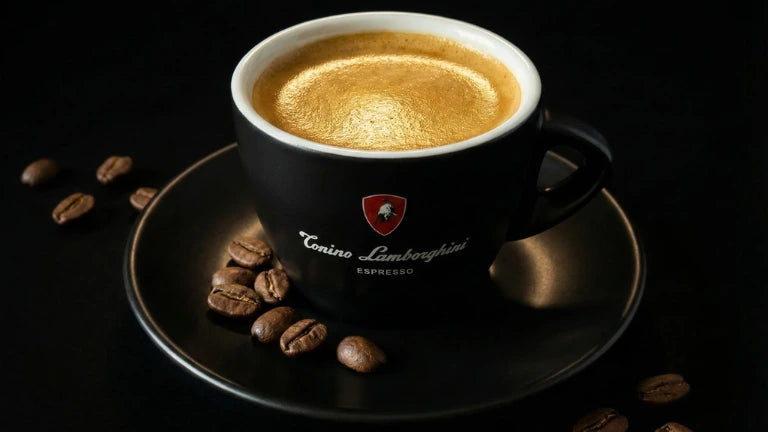 gourmet coffee - tonino lamborghini